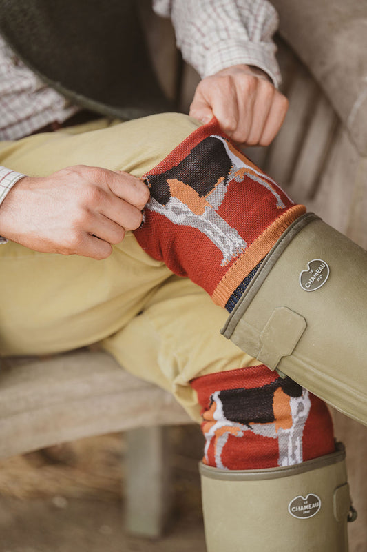 OUTLET: Hound Hiker