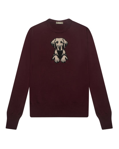 Loyal Labrador Jumper