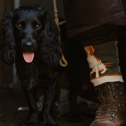 Springer Spaniel Sock Liver/White