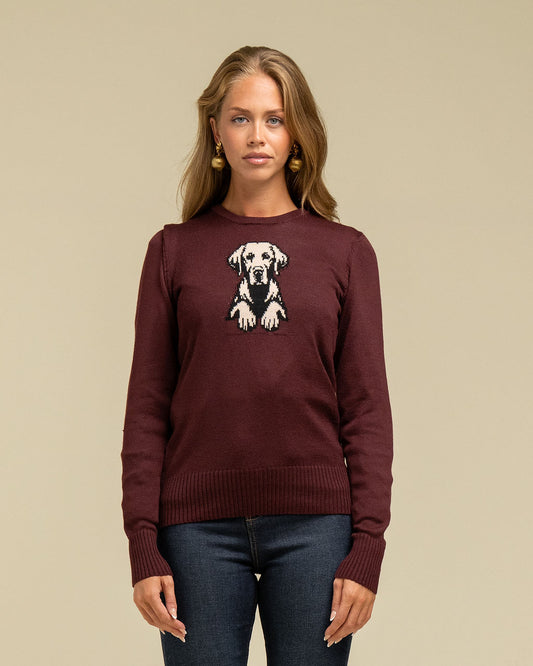 Loyal Labrador Jumper
