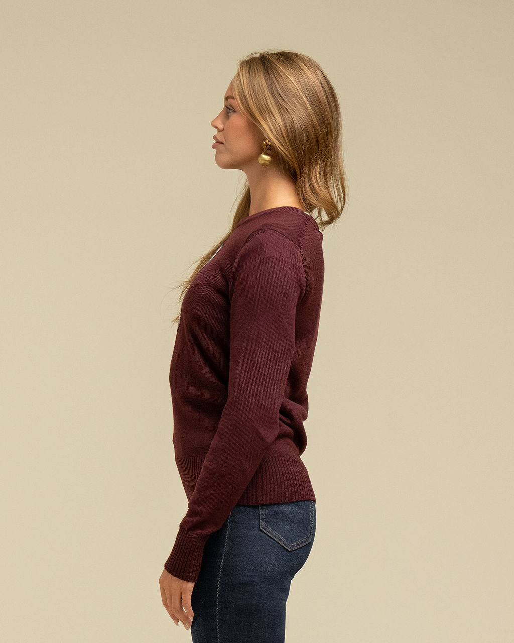Loyal Labrador Jumper