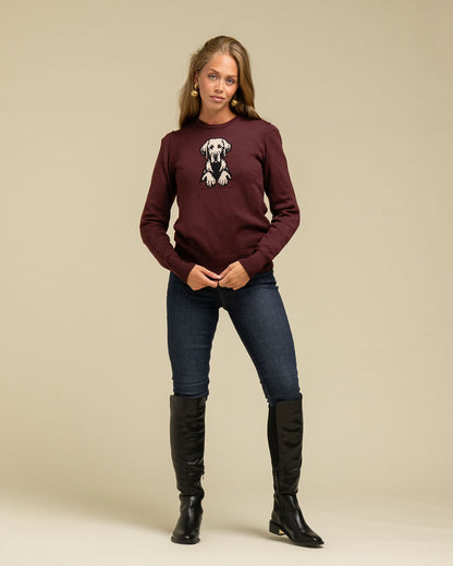 Loyal Labrador Jumper